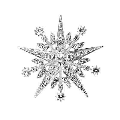 ATHENA COLLECTION - CRYSTAL STARBURST BROOCH - SILVER - BROOCH 49